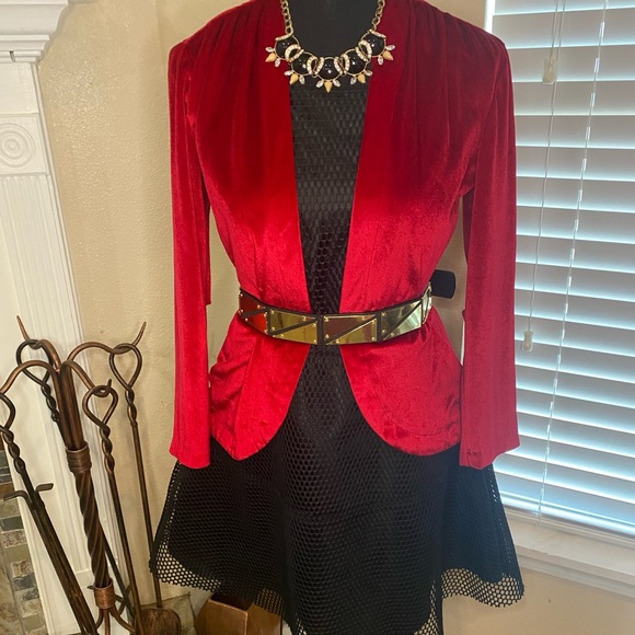 finn & clover Dresses & Skirts - Finn & Clover Black Netted Overlay Skater Dress